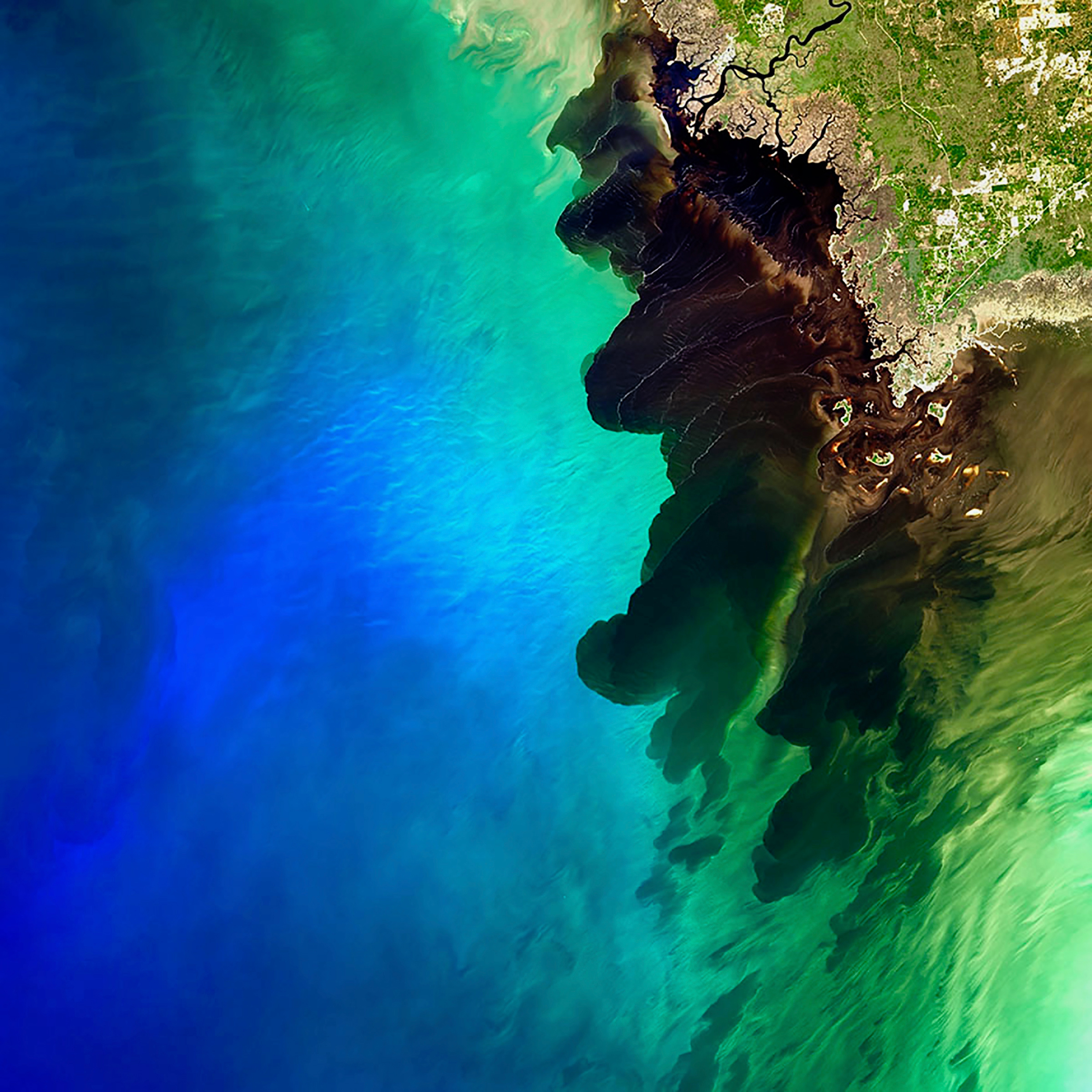 NASA Landsat image of the Suwannee River